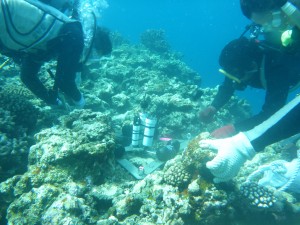 P1000572
