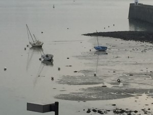 写真 2015-03-13 2 14 12